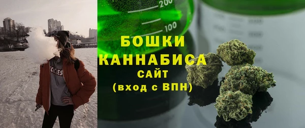 дмт Дубна
