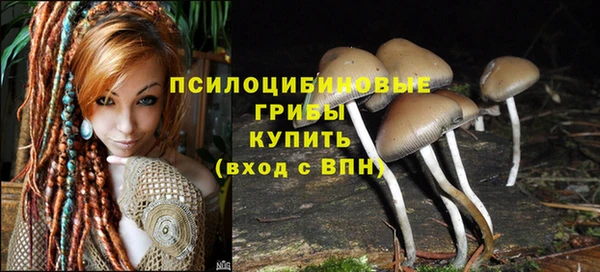 дурь Протвино