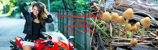 меф Ростов