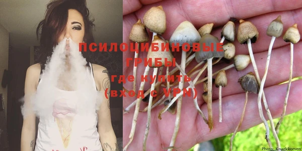 дурь Протвино