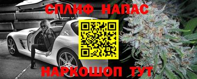 индика Азнакаево