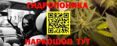 индика Азнакаево