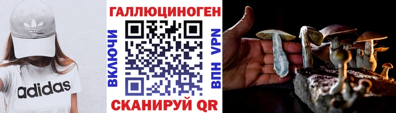 купить наркотики цена  ссылка на мегу как войти  Галлюциногенные грибы Cubensis  Анапа 