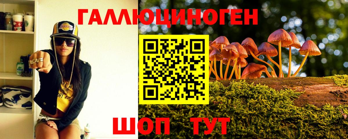 Псилоцибиновые грибы MAGIC MUSHROOMS  где найти   Псилоцибиновые грибы Psilocybe  Анапа 