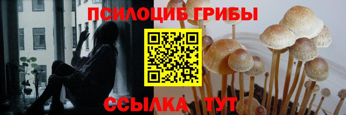 Анапа  Псилоцибиновые грибы Psilocybe  купить  сайты  Вход с VPN 